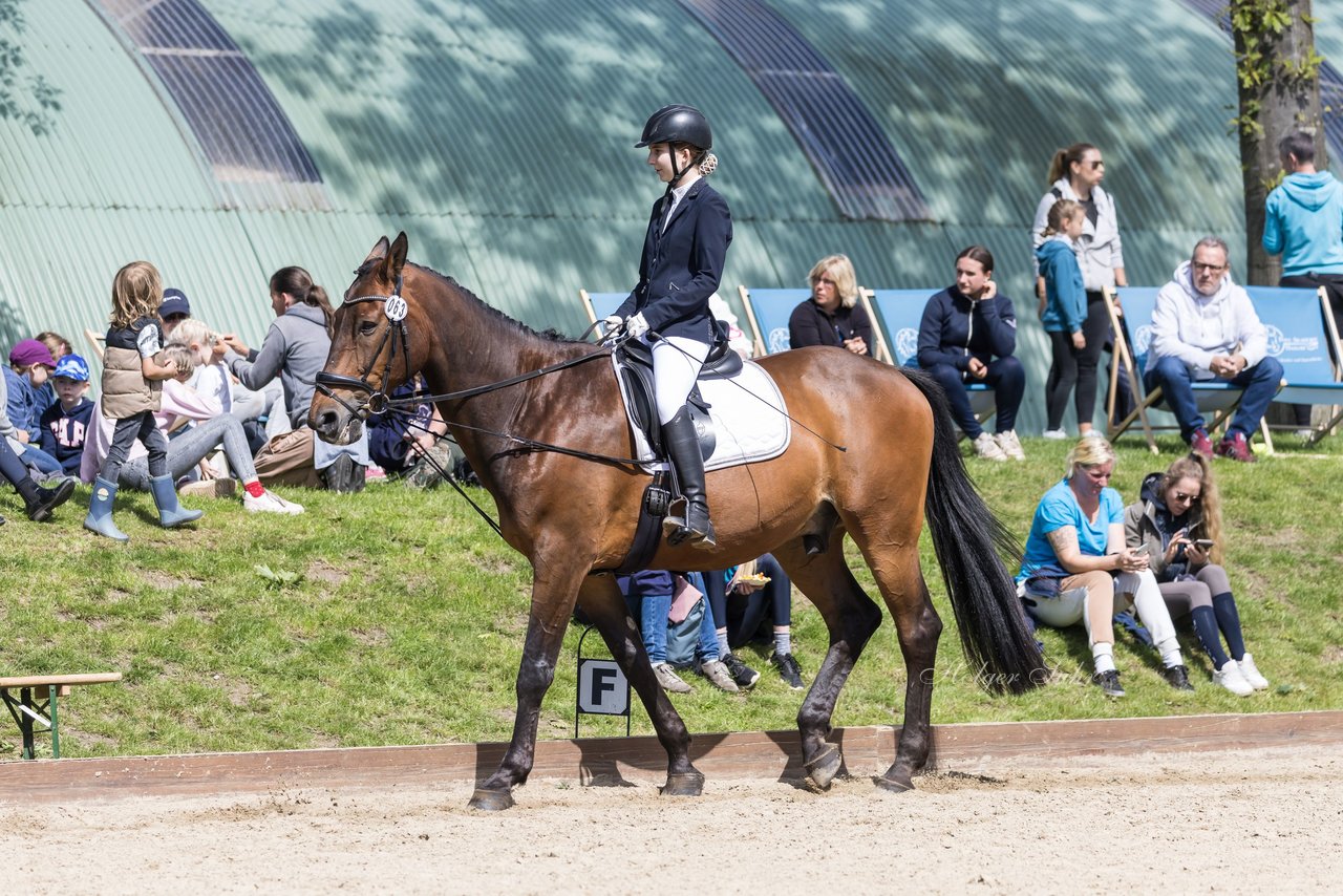 Bild 69 - Pony Akademie Turnier